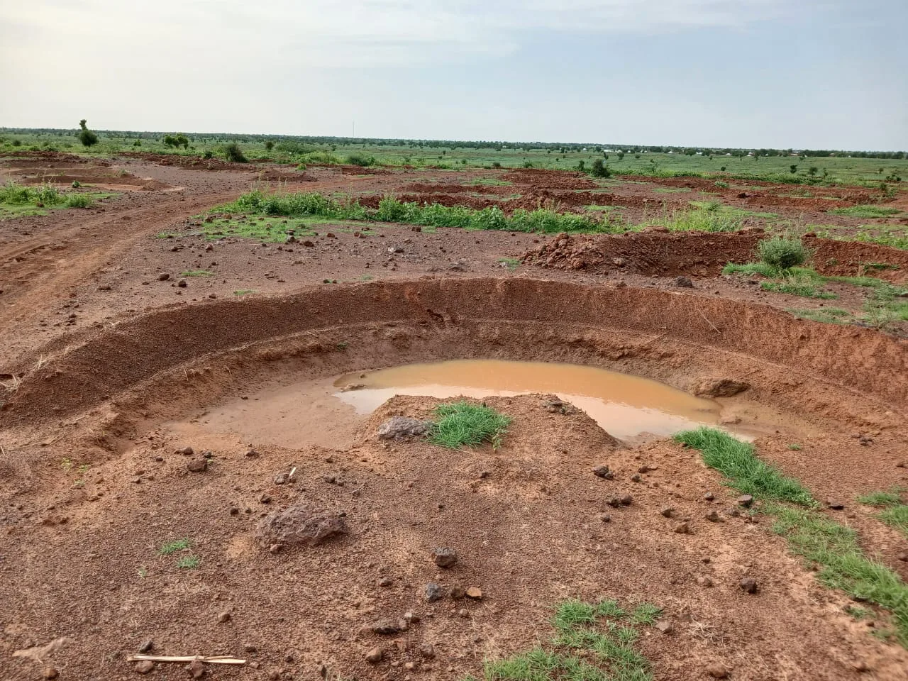 Récupération des terres agricoles dégradées